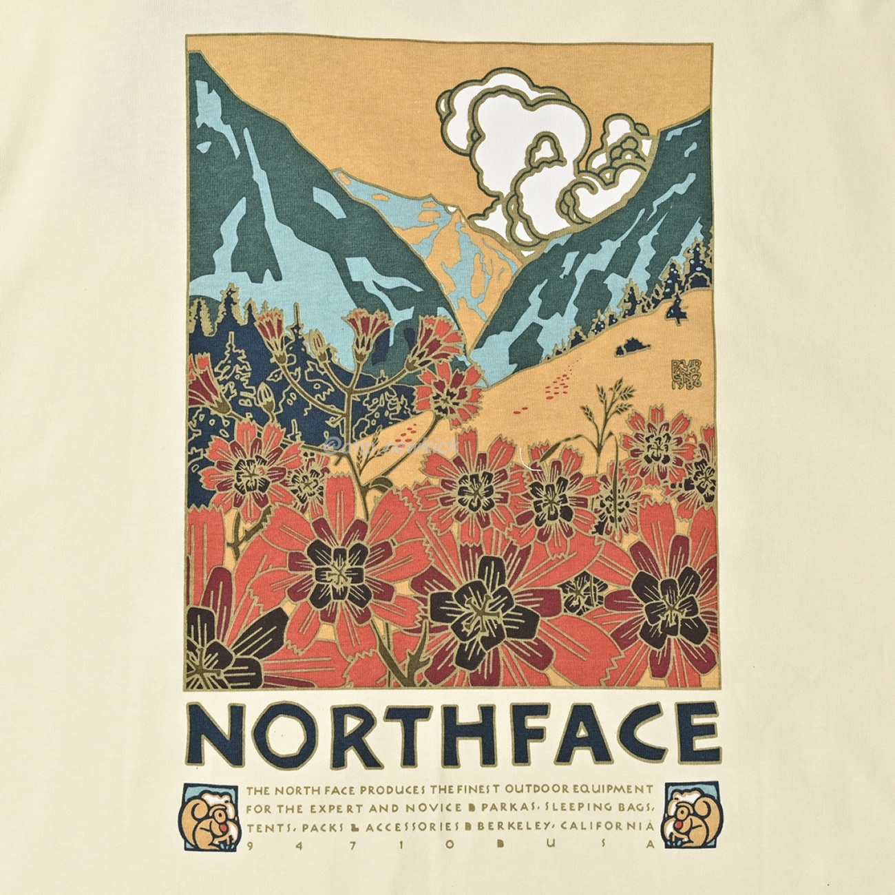 The North Face Tnf Landscape Pattern Short Sleeved T Shirt (2) - newkick.cc